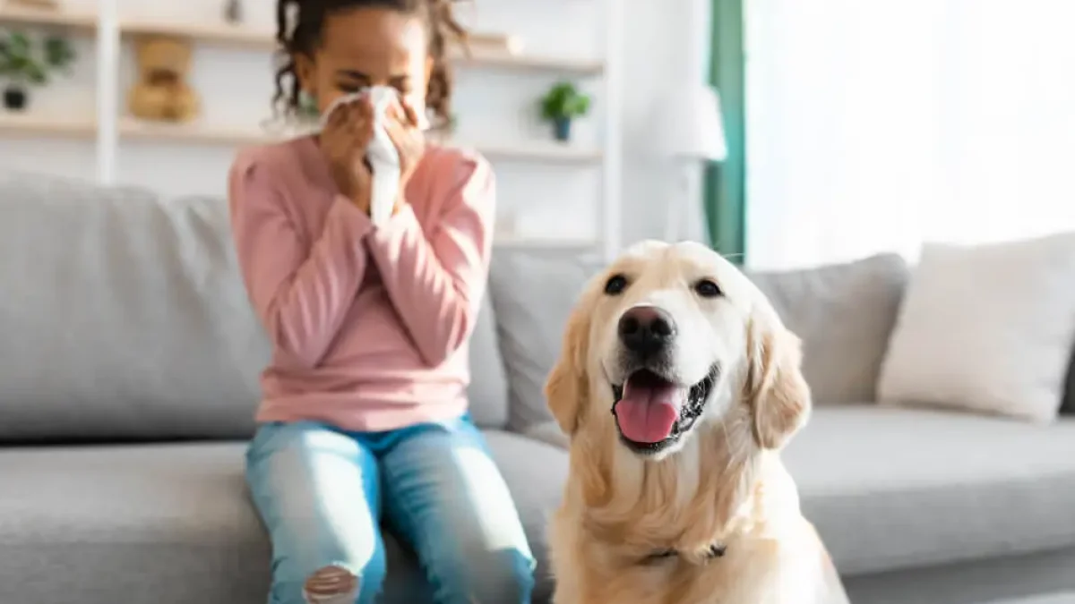 are dog allergies hereditary