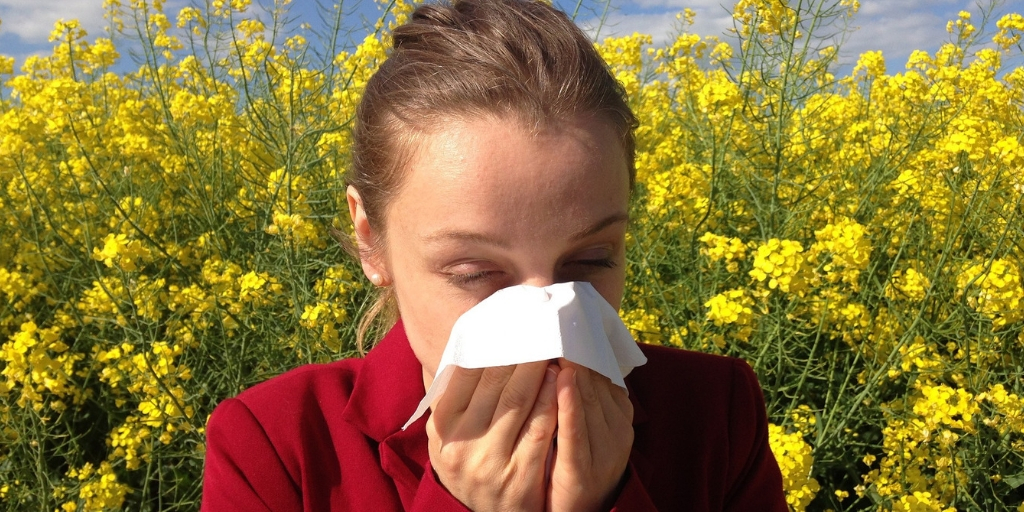 five-most-common-allergies-new-york-allergy-and-sinus-centers