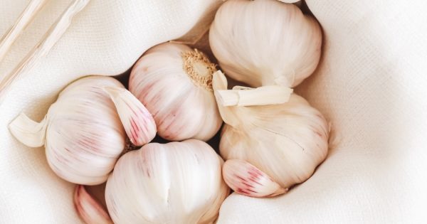 Garlic Allergy Ny Allergy Sinus Centers