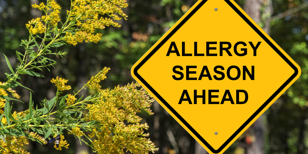Preparing For Allergy Season 2021 New York Allergy and Sinus Centers