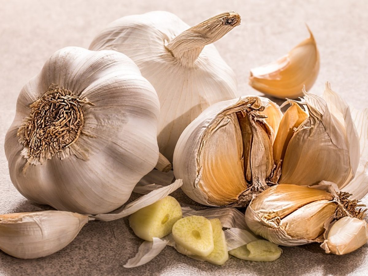 Garlic Allergy Ny Allergy Sinus Centers