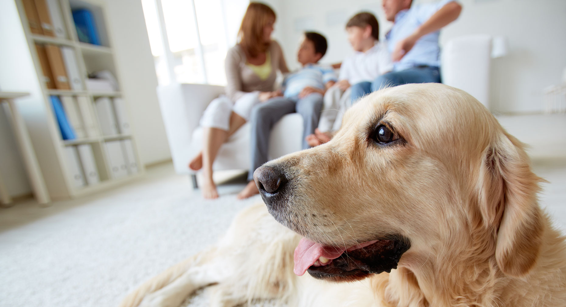 Dog in front of family